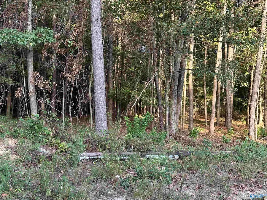 24 County Road 1011 #31, Centre, AL 35960 - #2