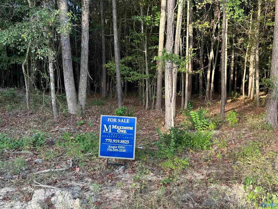 24 County Road 1011 #31, Centre, AL 35960 - #3