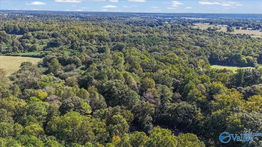 178 County Road 1559, Cullman, AL 35058 - #3
