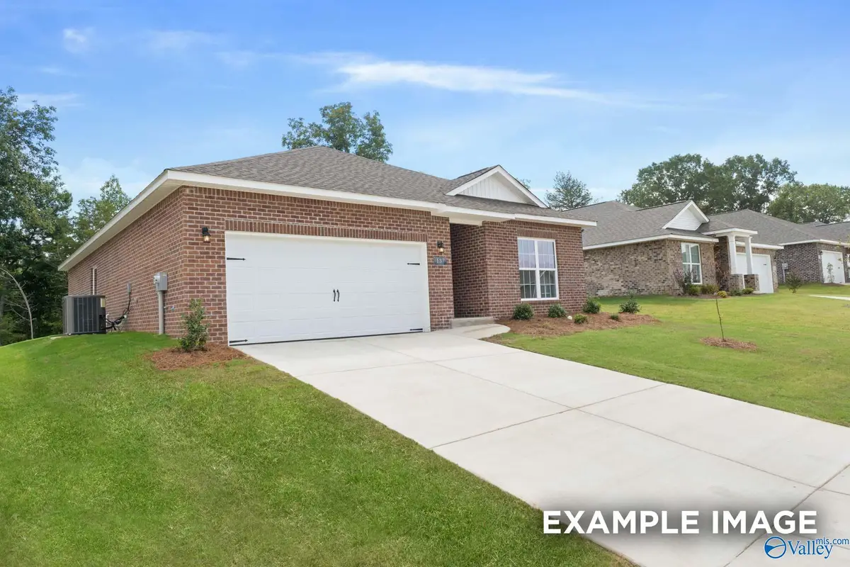217 Jerrie Lynn Boulevard, Meridianville, AL 35759 - #1