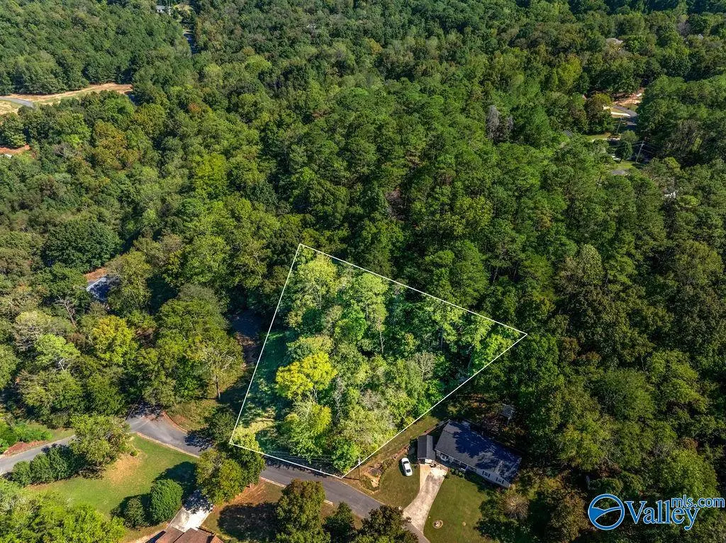 6423 Dogwood Lane, Fort Payne, AL 35967 - #1