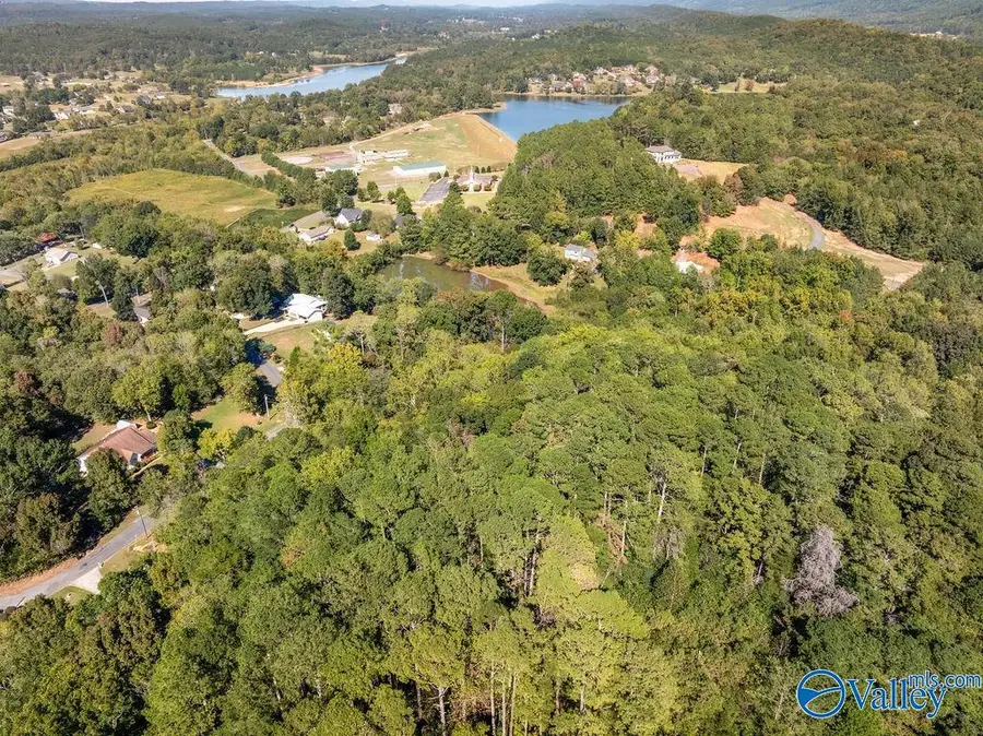 6423 Dogwood Lane, Fort Payne, AL 35967 - #2