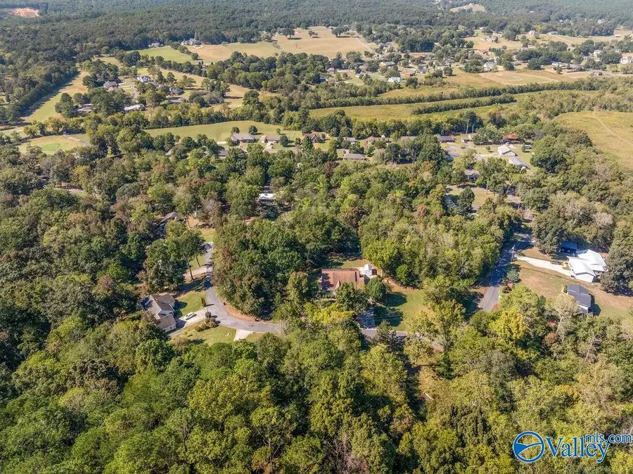 6423 Dogwood Lane, Fort Payne, AL 35967 - #3