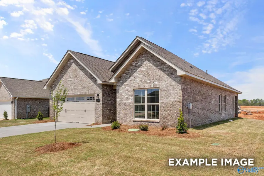 218 Jerrie Lynn Boulevard, Meridianville, AL 35759 - #2