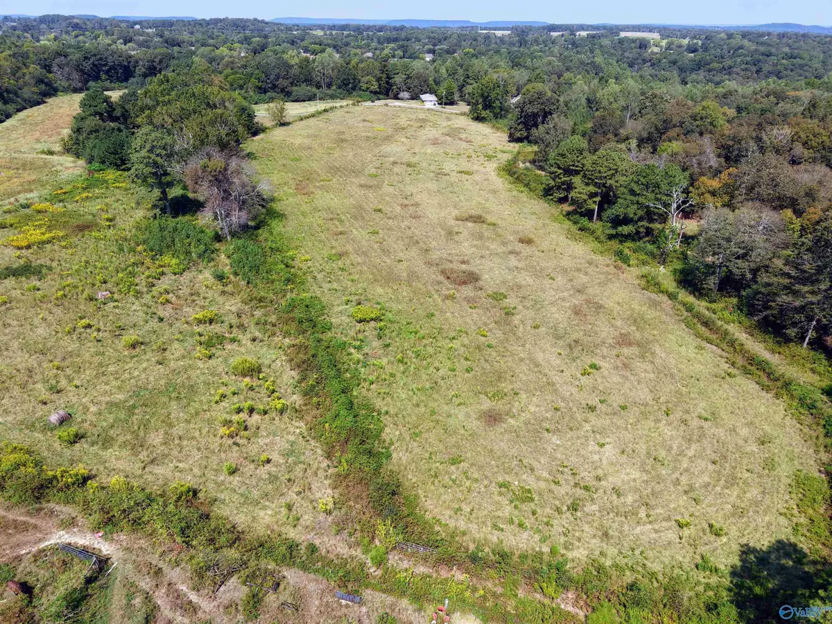 20.51 Gibson Road, Union Grove, AL 35175 - #1