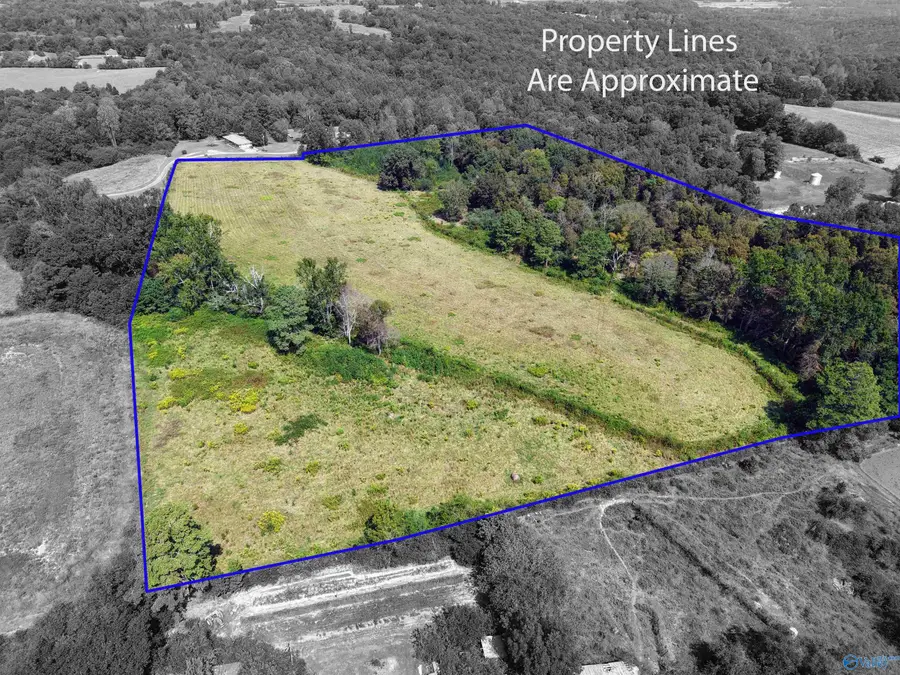 20.51 Gibson Road, Union Grove, AL 35175 - #3