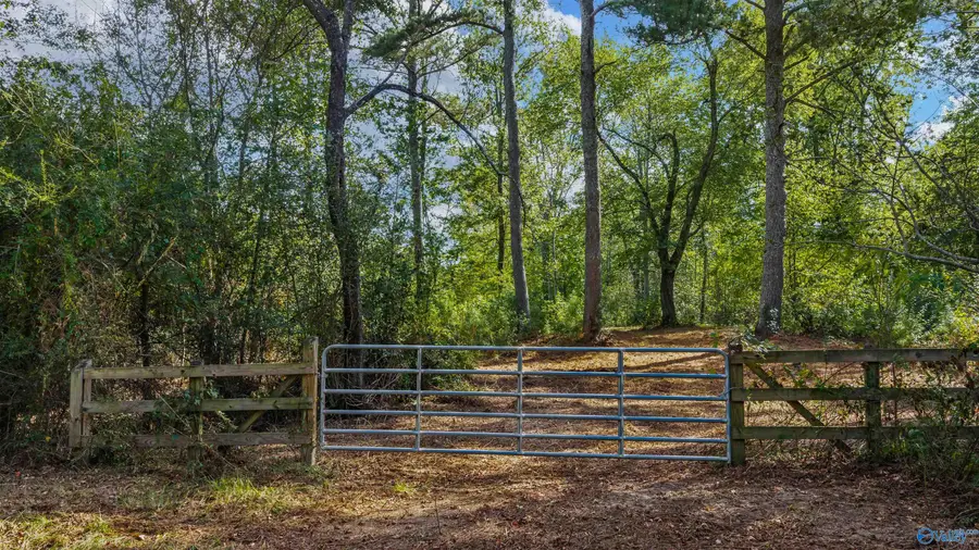 211 Bluff View Drive, Fort Payne, AL 35968 - #3