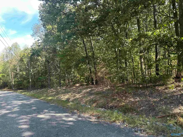 3 acres County Road 1025, Fort Payne, AL 35967