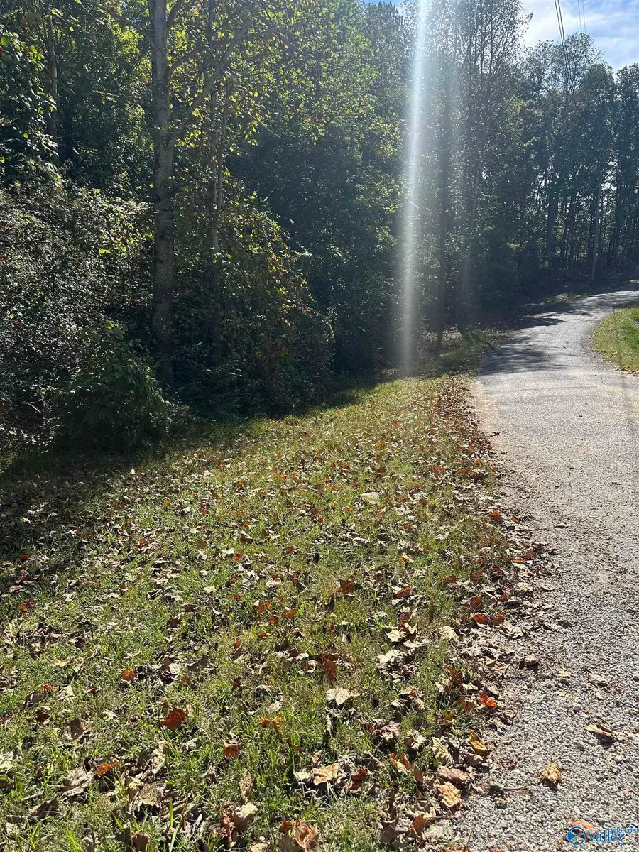 3 acres County Road 1025, Fort Payne, AL 35967 - #3