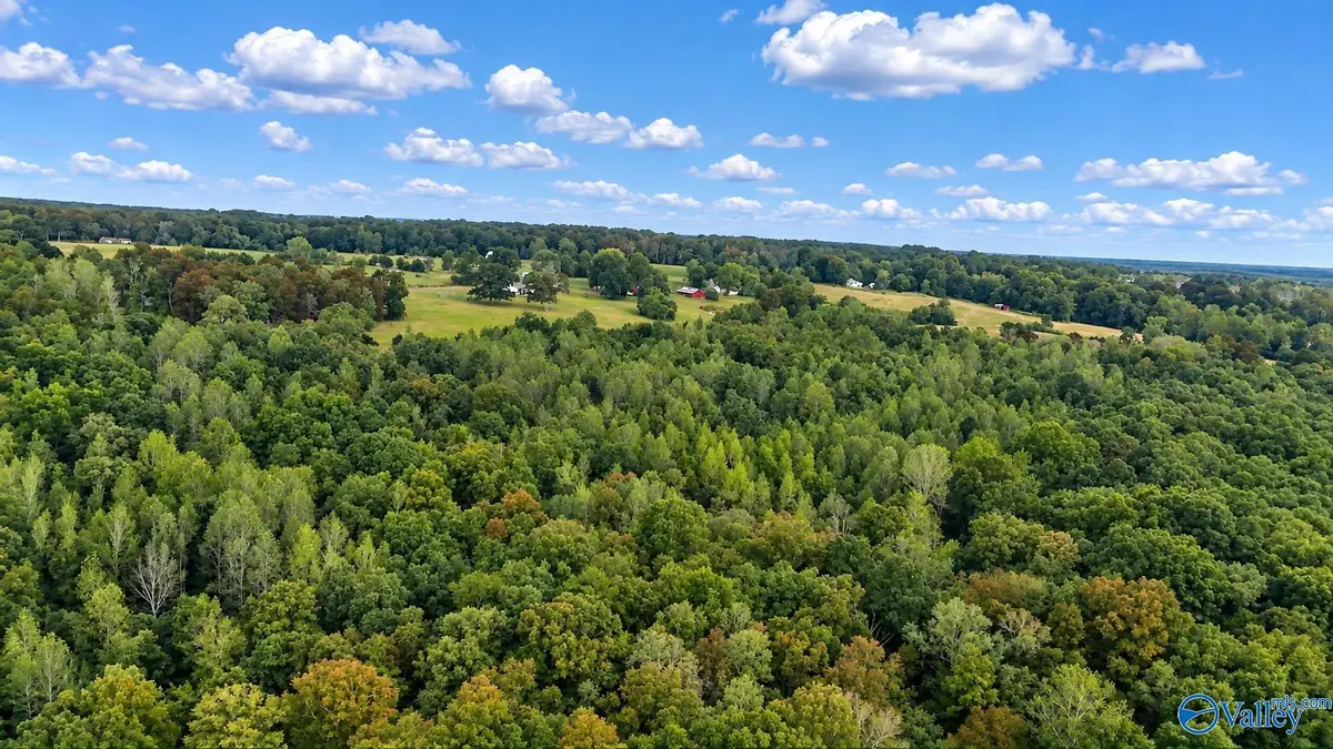 14 AC Wallace Avenue Nw, Fort Payne, AL 35967 - #1