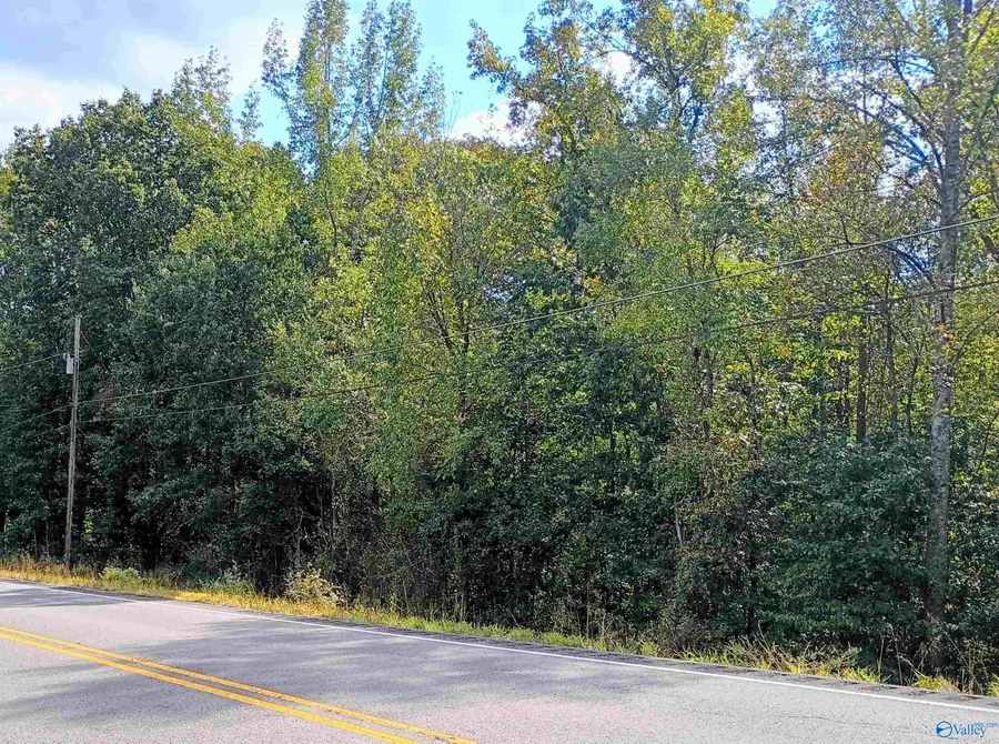 14 AC Wallace Avenue Nw, Fort Payne, AL 35967 - #3