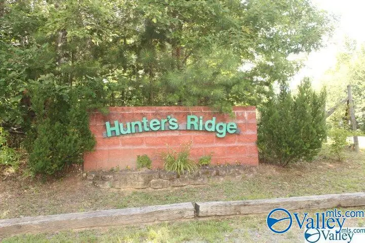 Lot 19 Road 903, Mentone, AL 35984 - #2
