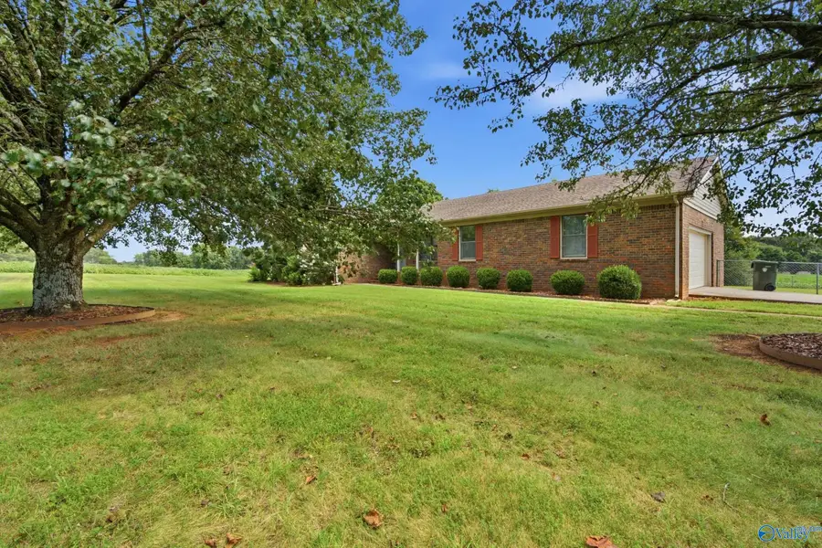 1035 Murphy Hill Road, Toney, AL 35773 - #3