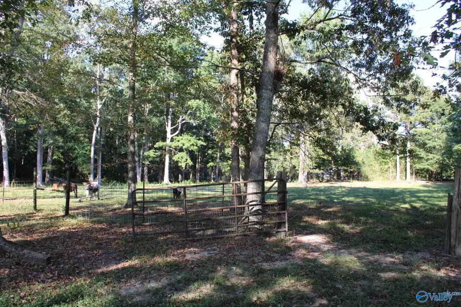 22201 New Garden Road, Elkmont, AL 35620 - #2