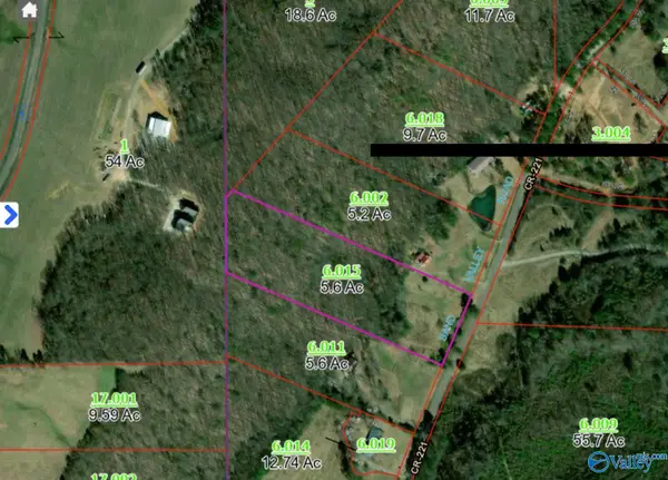 5.6 County Road 221, Collinsville, AL 35961