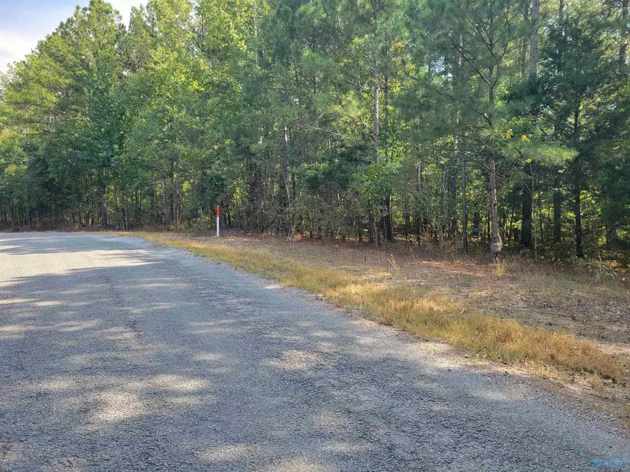 191 County Road 249, Houston, AL 35572 - #2
