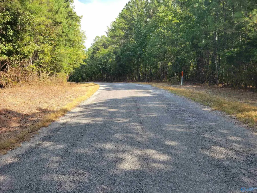 191 County Road 249, Houston, AL 35572 - #3