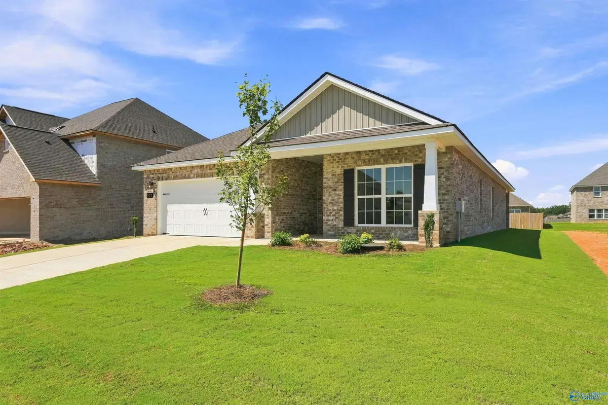 126 Ivy Vine Drive, Toney, AL 35773 - #1
