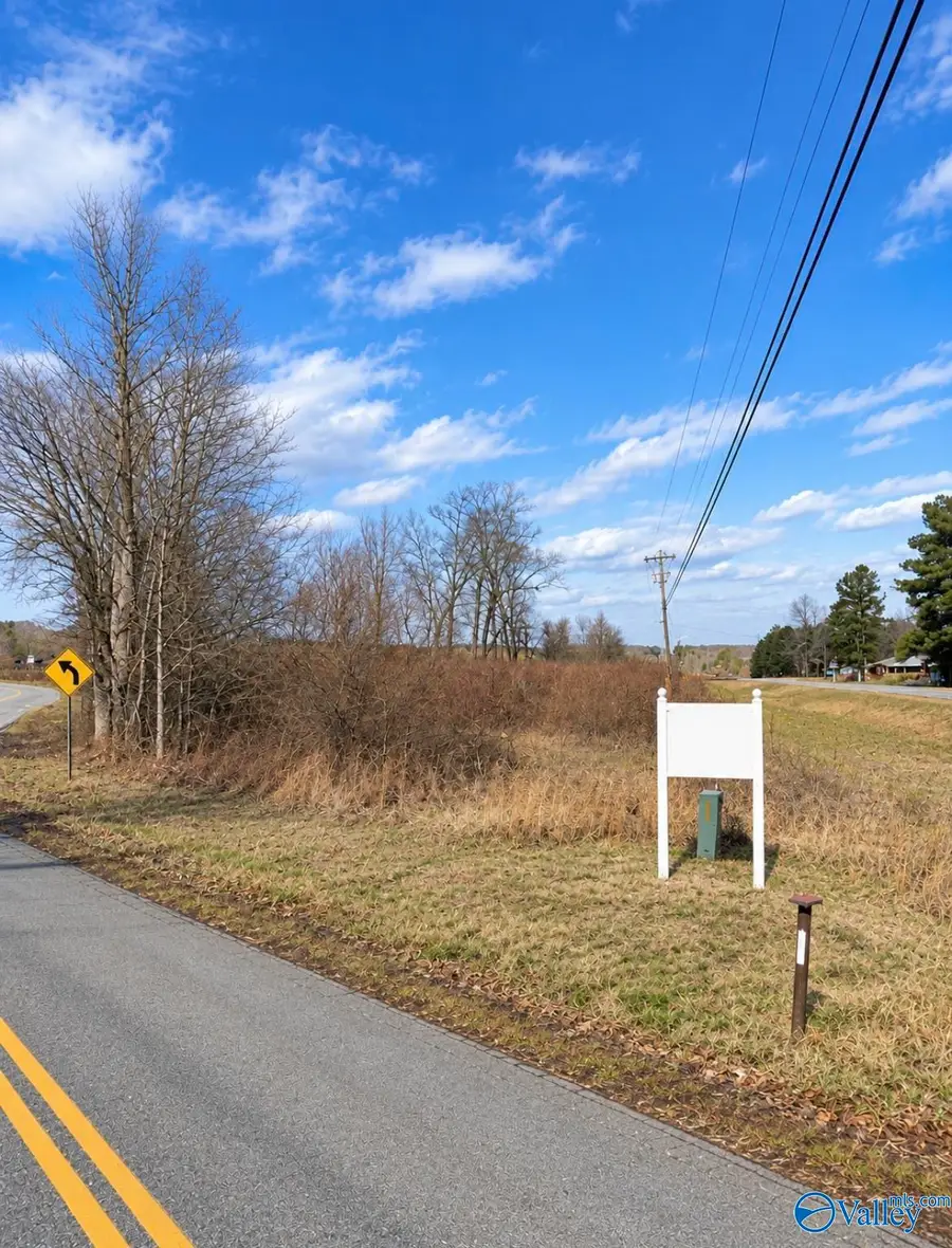 2 Hwy 117, Flat Rock, AL 35966 - #3