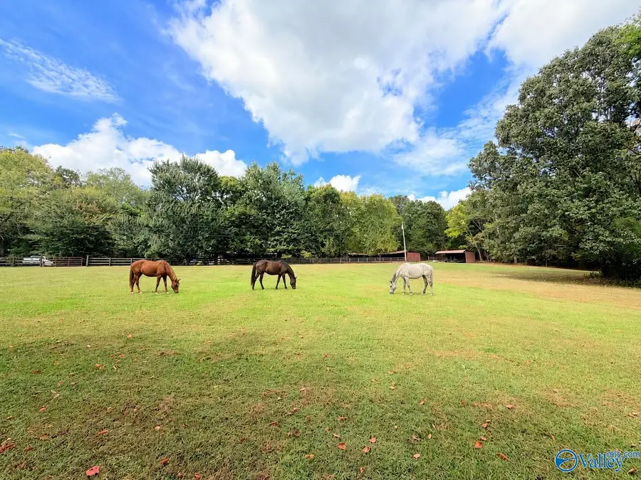684 Mardis Point Road, Baileyton, AL 35019 - #2
