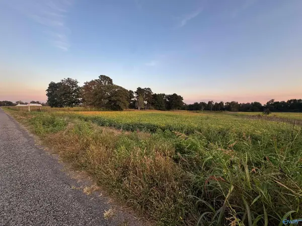 6ACRES County Road 337, Section, AL 35771