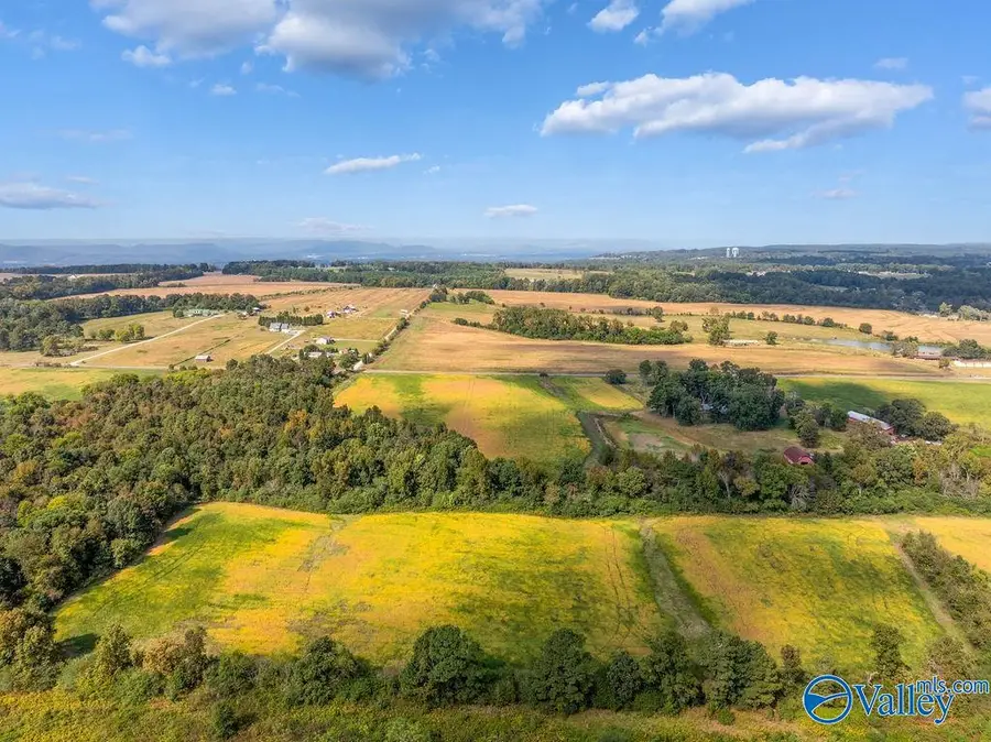 6ACRES County Road 337, Section, AL 35771 - #2