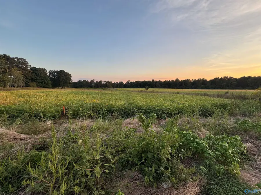 6ACRES County Road 337, Section, AL 35771 - #3