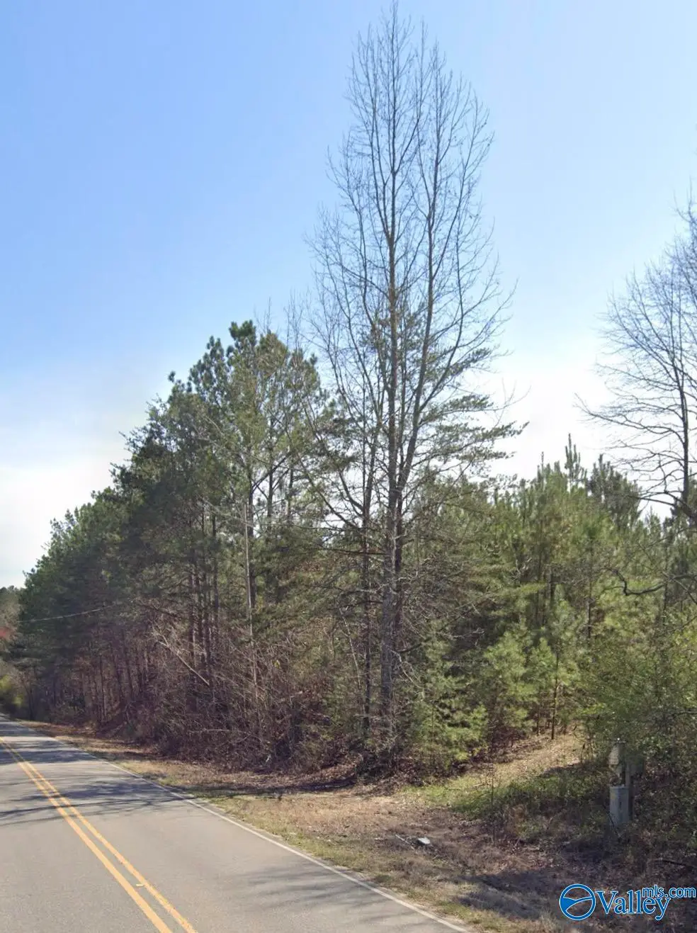 1960 County Road 46, Gaylesville, AL 35973 - #1
