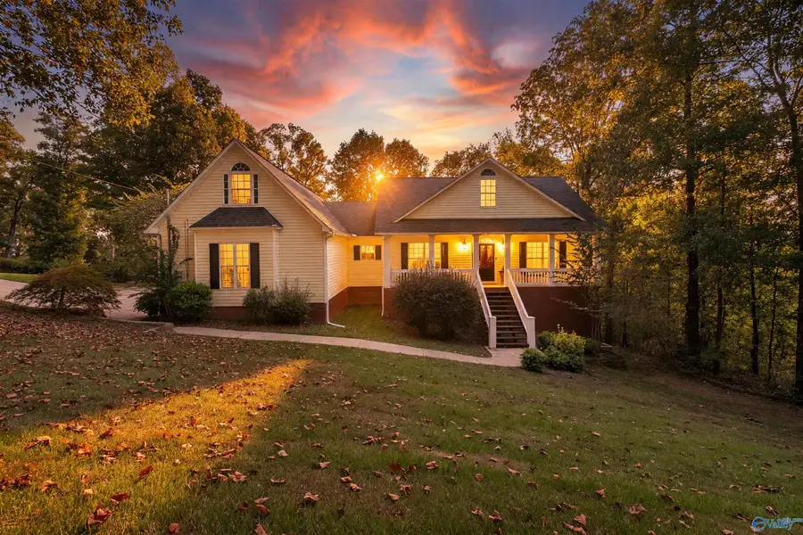 5421 Mountain Top Drive, Southside, AL 35907 - #2