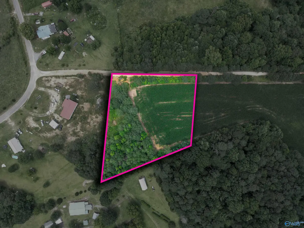 1.52 County Road 350, Fort Payne, AL 35967 - #1
