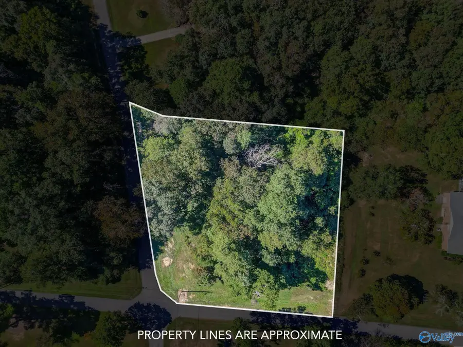 Lot 24 Windsor Drive, Guntersville, AL 35976 - #2