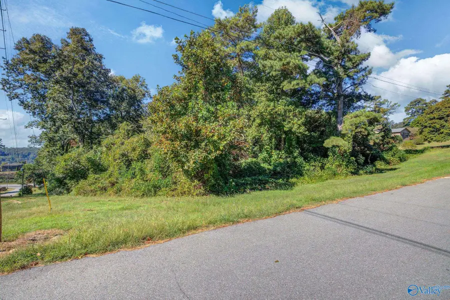 Lot 24 Windsor Drive, Guntersville, AL 35976 - #3