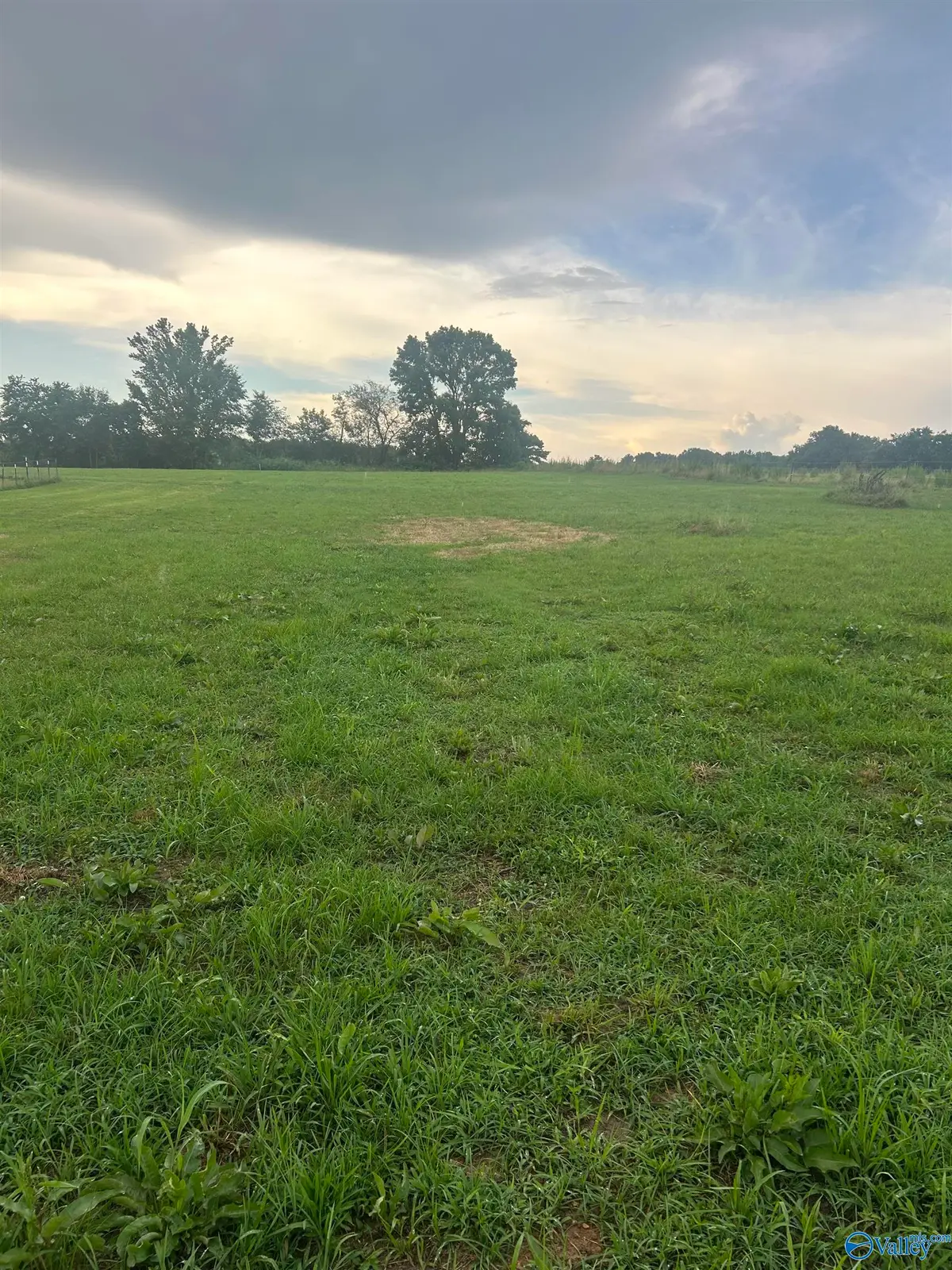 6097 County Road 1763 B, Arab, AL 35016 - #1