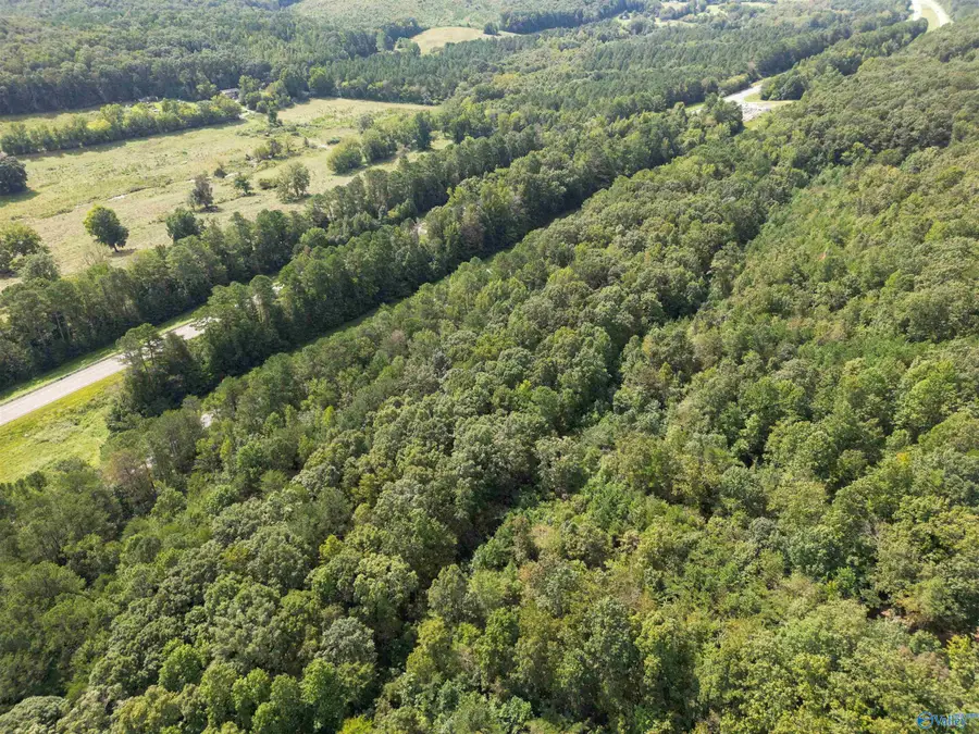 19.68 County Road 611, Valley Head, AL 35989 - #2