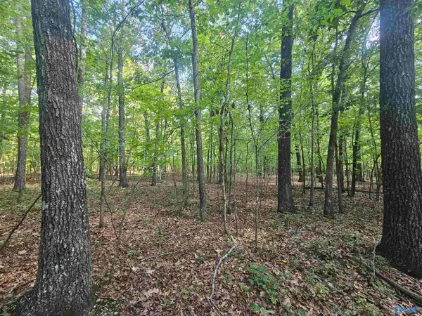012 Toney Drive, Altoona, AL 35952
