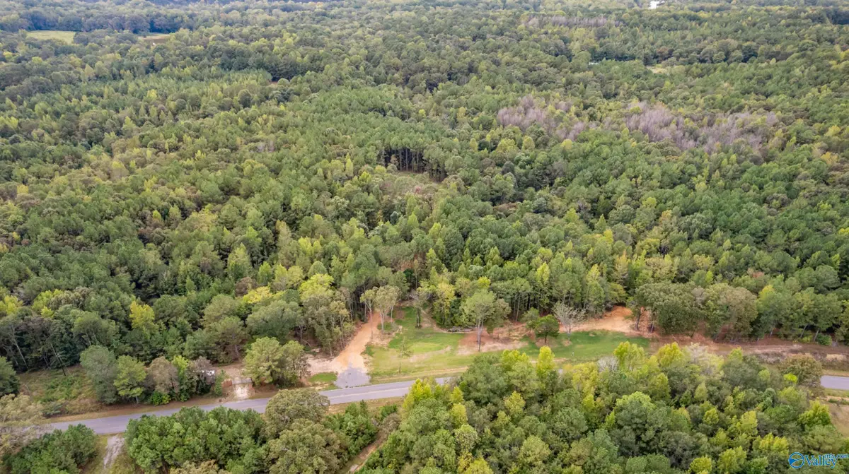 1734 Woods Bend Road, Ragland, AL 35131 - #1