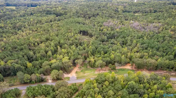 1734 Woods Bend Road, Ragland, AL 35131