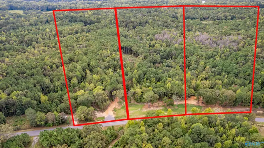 1734 Woods Bend Road, Ragland, AL 35131 - #2