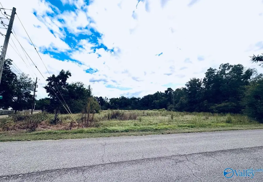 3 acre Rosehaven Drive, Southside, AL 35907 - #2