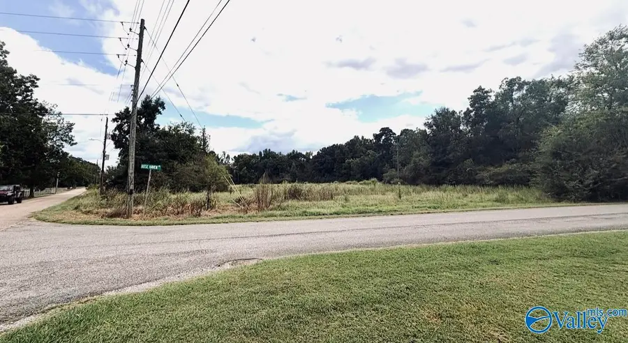 3 acre Rosehaven Drive, Southside, AL 35907 - #3