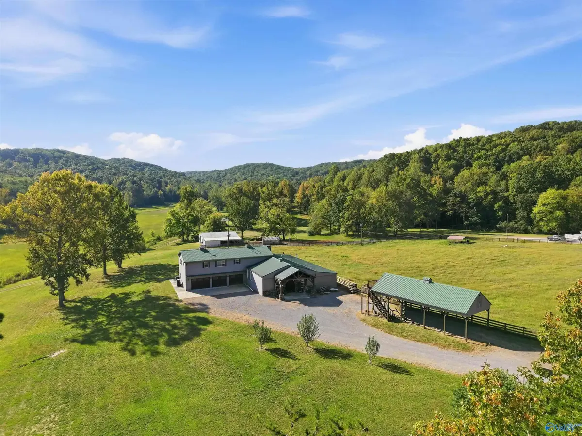 53 Days Gap Road, Falkville, AL 35622 - #1