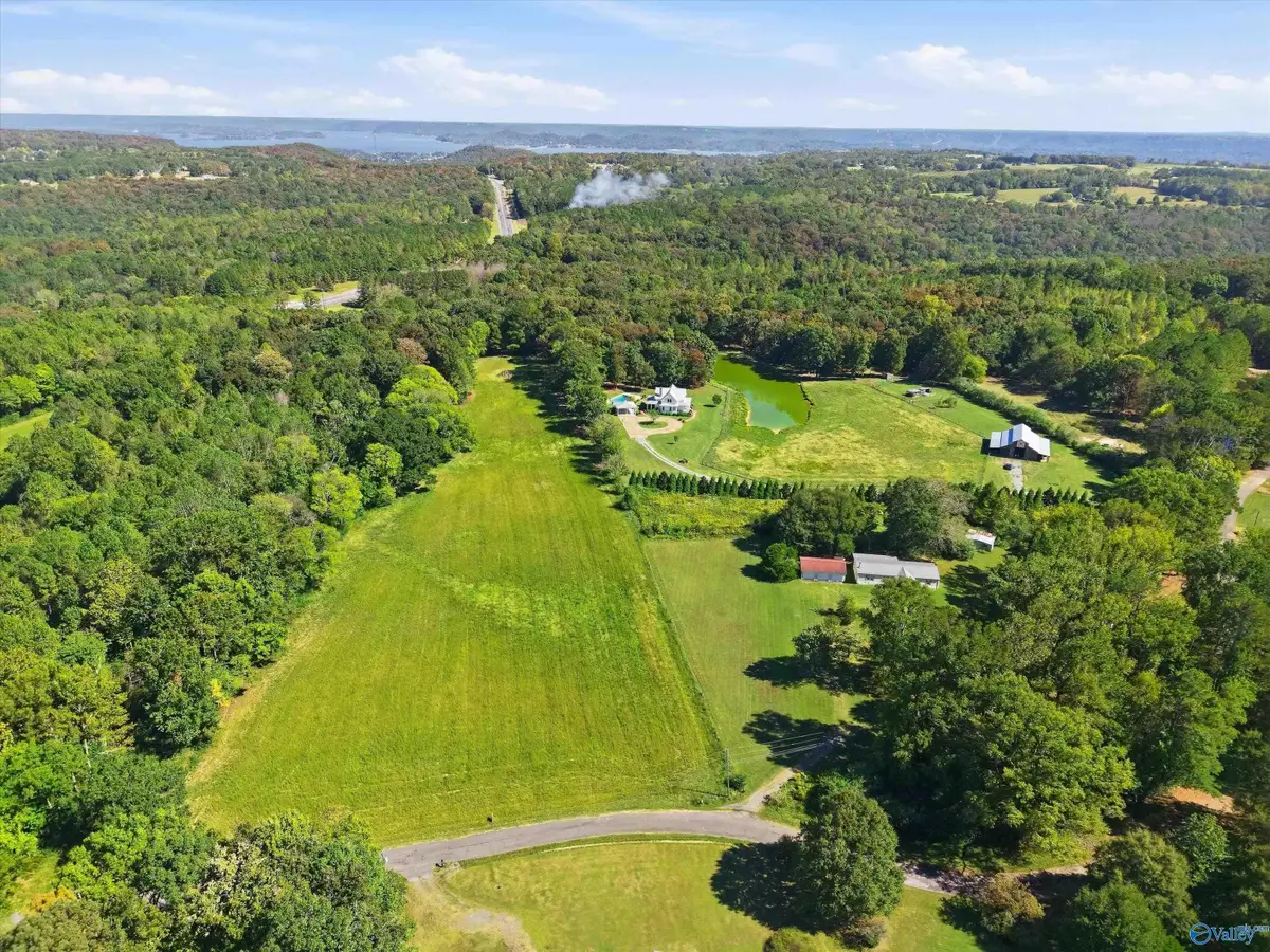 385 A Snider Road, Guntersville, AL 35976 - #1