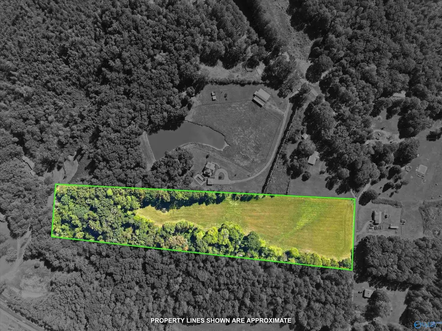 385 A Snider Road, Guntersville, AL 35976 - #2