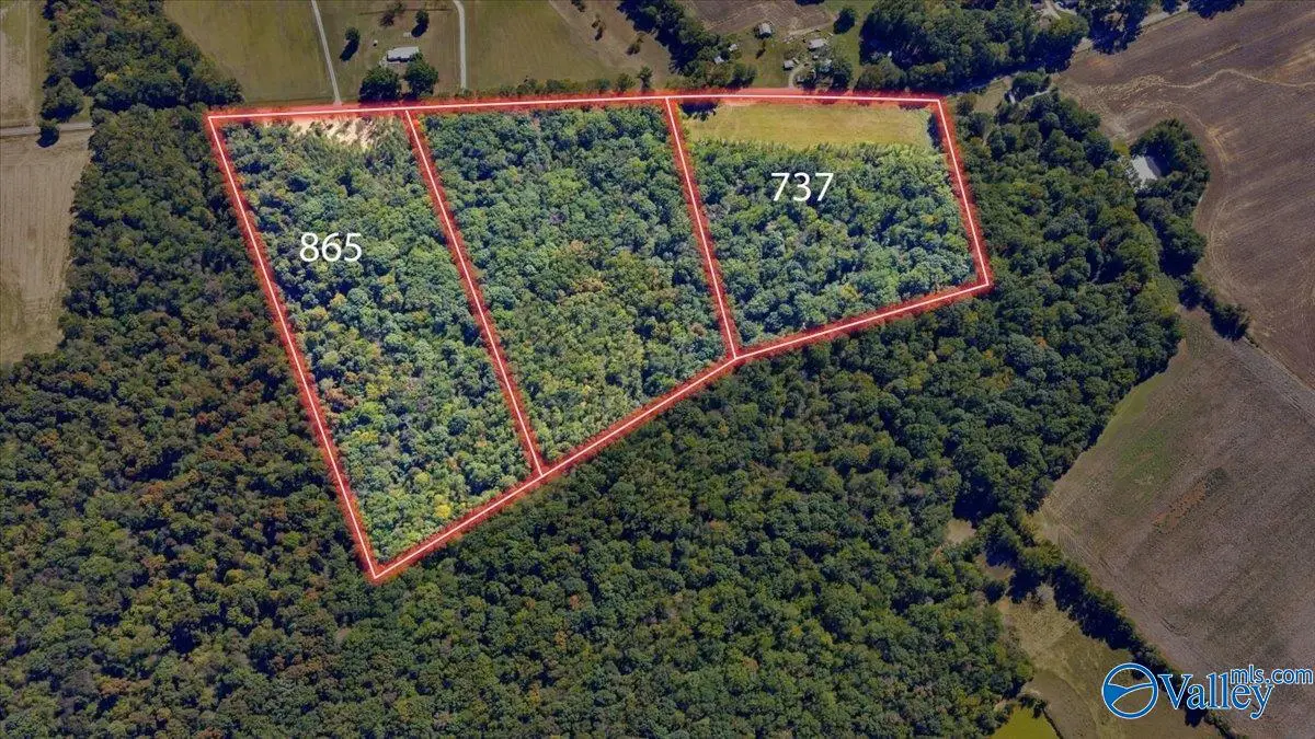 737 Old Winchester Road, New Market, AL 36761 - #1