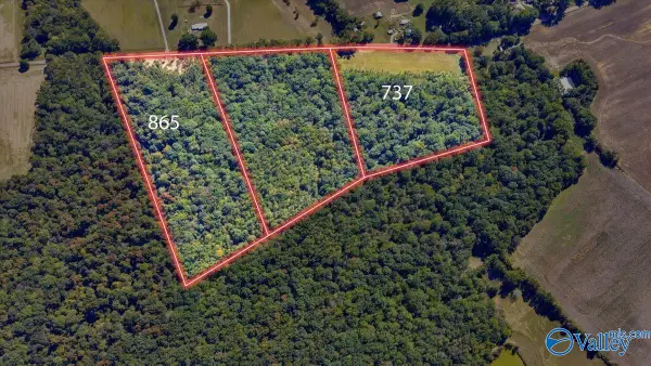 737 Old Winchester Road, New Market, AL 36761