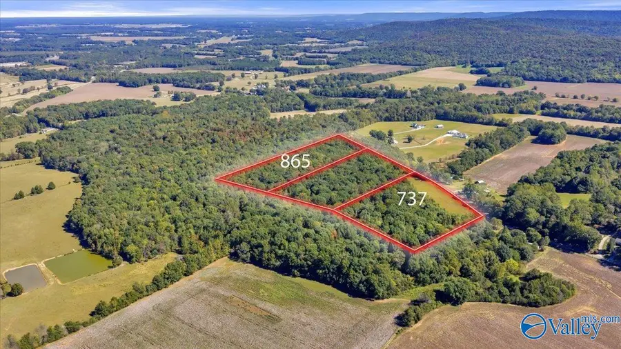 737 Old Winchester Road, New Market, AL 36761 - #2