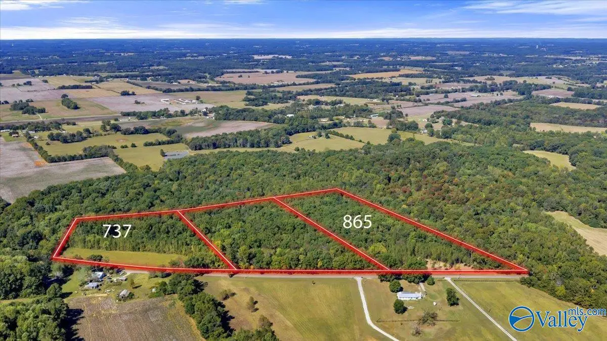 865 Old Winchester Road, New Market, AL 35761 - #1