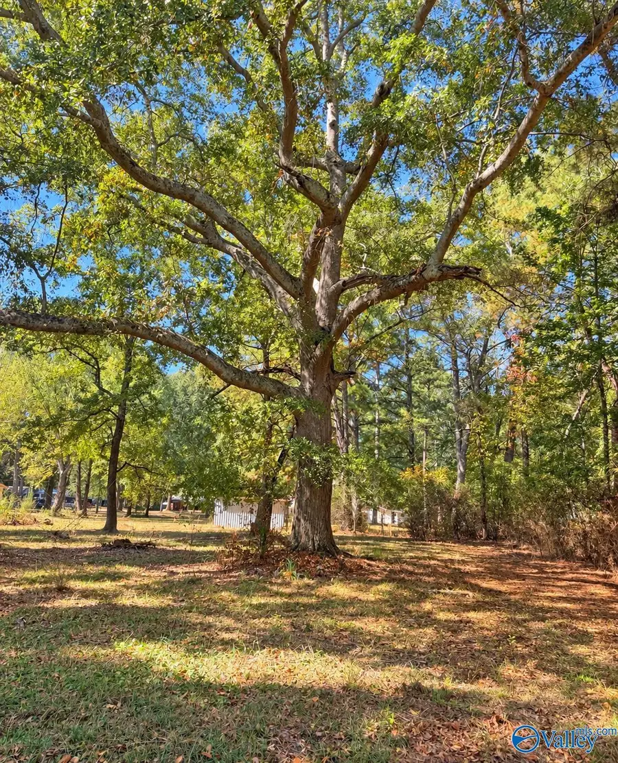 109 Shipp Road, Huntsville, AL 35806 - #2