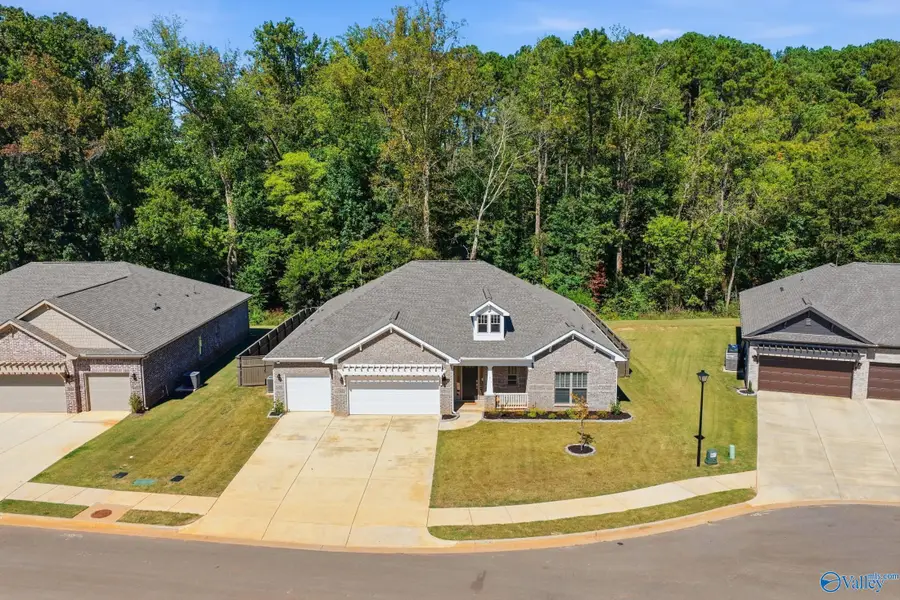 146 Clift Creek Drive, Madison, AL 35757 - #3