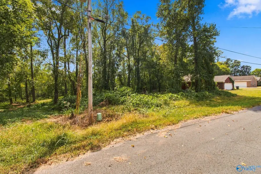 132 Easy Street, Hazel Green, AL 35750 - #2